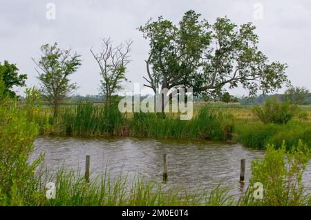 Bureau de l'Administrateur (Lisa P. Jackson) - Cocodrie, Louisiane et Réunion sur les catastrophes pétrolières à Dulac, Louisiane (BP Oil Spill) - photo de l'USEPA par Eric Vance , Agence de protection de l'environnement Banque D'Images