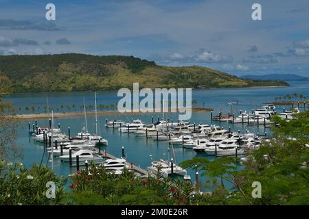 Île Hamilton, Queensland, Australie - 27 novembre 2022 : yachts à la marina de l'île Hamilton Banque D'Images