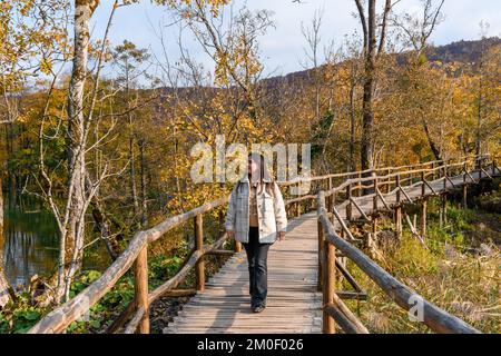 Une jeune femme marchant sur un pont en bois et admirant la belle forêt jaune d'automne Banque D'Images