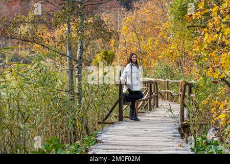 Une jeune femme marchant sur un pont en bois et admirant la belle forêt jaune d'automne Banque D'Images