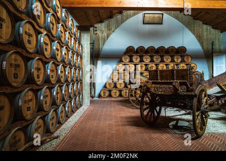 Fûts de chêne contenant du vin de Marsala dans la Cantine Pellegrino, une cave historique de Sicile. Italie. Banque D'Images