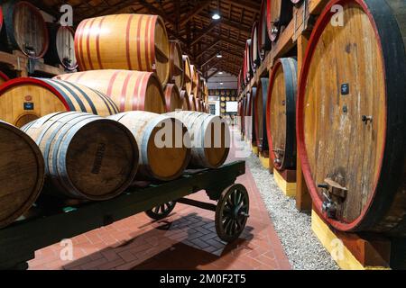 Fûts de chêne contenant du vin de Marsala dans la Cantine Pellegrino, une cave historique de Sicile. Italie. Banque D'Images