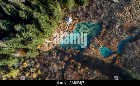 Directement au-dessus de la vue aérienne de l'incroyable lac turquoise à Zelenci nepure Reserve en Slovénie Banque D'Images