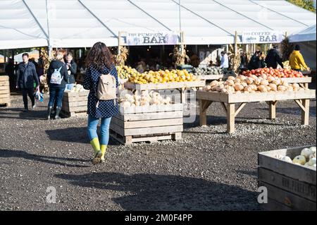 Crawley, Royaume-Uni - 27 octobre 2022: Choisissez vos propres étals de citrouille à la ferme de Tulleys, Royaume-Uni.personnes marchant et goélant les citrouilles et les gourdes, foyer sélectif Banque D'Images