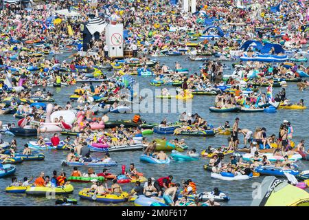 Schwörmontag, 'Nabada', Une fête traditionnelle d'Ulm, Danube, Ulm, Bade-Wurtemberg, Allemagne, Europe Banque D'Images