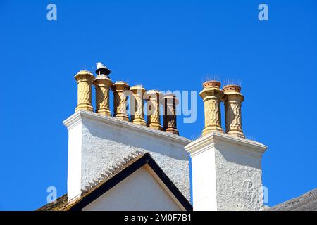 Vue sur un mouette assis au sommet d'une cheminée intéressante sur un bâtiment le long du front de mer, Sidmouth, Devon, Royaume-Uni, Europe Banque D'Images