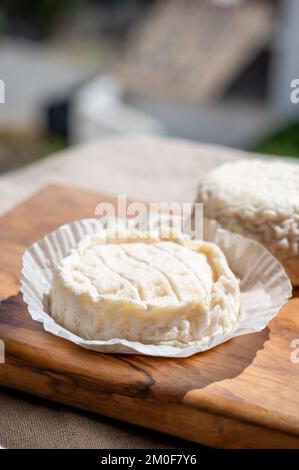 Fromages français Rocamadour et Saint-Marcellin servis sur une planche en bois d'olivier avec des amandes sur des lampes solaires Banque D'Images