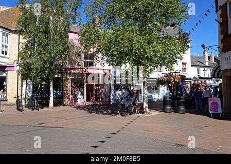 Magasins et commerces traditionnels le long de Old Fore Street dans le centre-ville, Sidmouth, Devon, Royaume-Uni, Europe. Banque D'Images