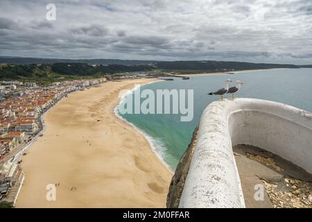 Deux mouettes reposent sur le point de vue de la belle ville de Nazare avec une grande plage vide. Banque D'Images