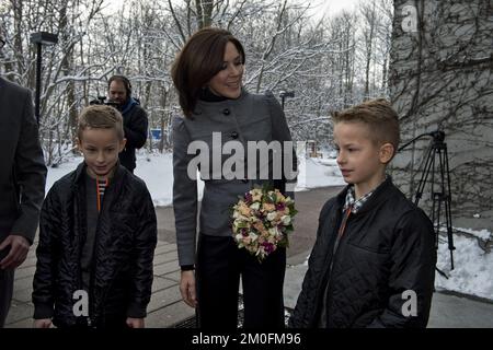 La princesse de la Couronne Mary reçoit des fleurs de jumeaux Jonas et Joachim à son arrivée à l'Université du Sud du Danemark. La princesse Marie, qui est la nouvelle patronne du registre des jumeaux danois et australien, a participé mardi 15 janvier. 2013 dans un double séminaire à l'Université. Il y avait 150 paires de jumeaux âgés de 18 à 90 ans, qui ont participé à l'un des Twin Registers danois de nombreux projets de recherche. (OLE Frederiksen/POLFOTO) Banque D'Images
