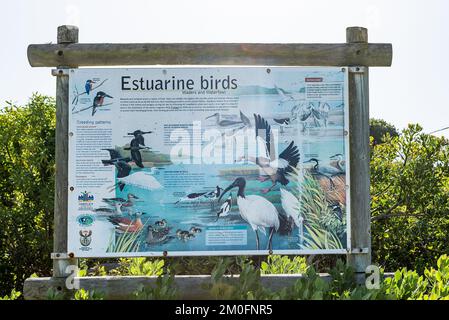 Gansbaai, Afrique du Sud - 20 septembre 2022 : un office d'information pour les oiseaux estuariens à Uilenkraalsmond à Franskraalstrand près de Gansbaai dans la région occidentale Banque D'Images