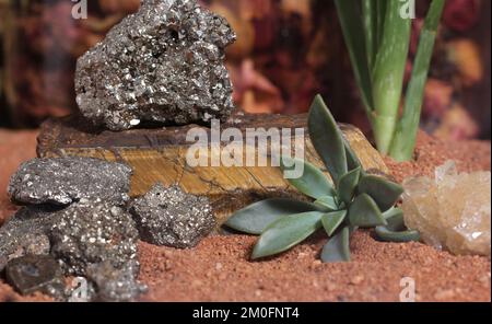 Fleur avec des rochers de pyrite et des cristaux sur le sable rouge australien. Autel de méditation Banque D'Images