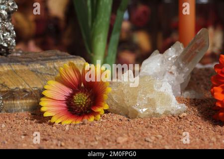 Fleur avec des rochers de pyrite et des cristaux sur le sable rouge australien Banque D'Images