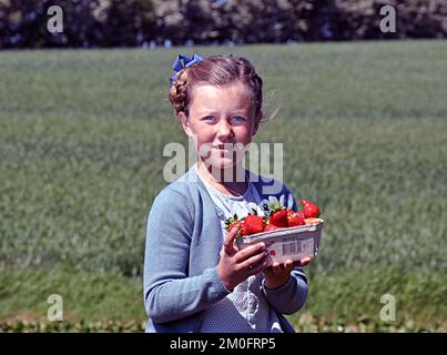 Dans le cadre du baptême du nouveau ferry de Samsoe par la princesse Marie et la princesse Isabella , les deux princesses visitant le producteur de fraises Aage Madsen à Sille Bale . Voici Mary et Isabella au travail cueillant des fraises dans le champ où la saison vient de commencer. Les fraises ont goûté vraiment bon pourrait Isabella trouver et la princesse de couronne Mary a pensé que Isabella peut être en mesure d'obtenir un emploi d'été sur l'île quand elle était un peu plus âgé. La princesse de la Couronne Mary et la princesse Isabella étaient des experts pour cueillir des fraises sur l'île. ( Jens Baltic - Mortensen / POLFOTO ) Banque D'Images