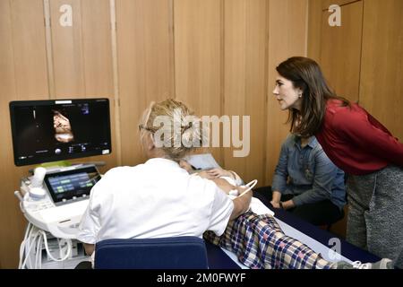 Sur 8 octobre 2018 HRH la princesse Marie a visité l'aile cardiologique de l'hôpital universitaire de Copenhague, Rigshospitalet, dans le centre de Copenhague. Ici, elle a rencontré le personnel et les patients et a regardé comme certains avaient leur cœur scanné. HRH la princesse Crown est protectrice pour la Fondation danoise de coeur. Banque D'Images