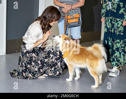 Sur 17 mai 2019 HRH la princesse Marie a visité la maison familiale de la Fondation Tryg au Centre neurologique Hammel. La nouvelle maison familiale donne aux enfants atteints de lésions cérébrales la possibilité de faire en sorte que leurs familles soient proches tout en recevant un traitement au Centre neurologique. Banque D'Images