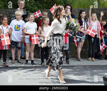 Sur 17 mai 2019 HRH la princesse Marie a visité la maison familiale de la Fondation Tryg au Centre neurologique Hammel. La nouvelle maison familiale donne aux enfants atteints de lésions cérébrales la possibilité de faire en sorte que leurs familles soient proches tout en recevant un traitement au Centre neurologique. Banque D'Images