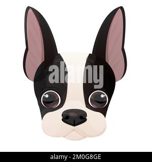 Visage terrier de Boston, tête de chiot, portrait de style caricature isolé sur fond blanc. Joli motif chien et imprimé. Illustration vectorielle Illustration de Vecteur