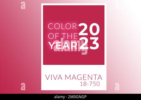 Couleur de l'année 2023. Teinte magenta Viva. Institut Pantone. Cadre polarisé blanc. Cadre de la bordure de conception. Banque D'Images