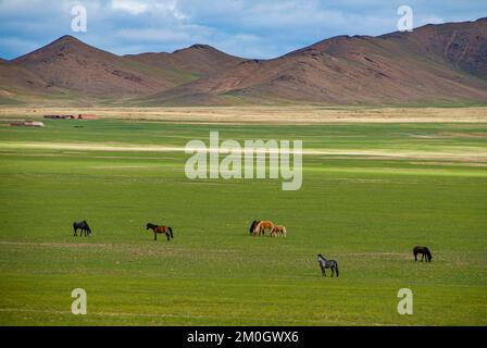 Paysage tibétain ouvert le long de la route de Gerze à Tsochen, Tibet occidental, Asie Banque D'Images