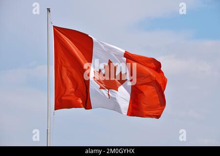 Drapeau national du Canada volant et agitant dans le vent sur flagstaff au-dessus du ciel bleu clair, symbole du patriotisme canadien, angle bas, vue latérale Banque D'Images