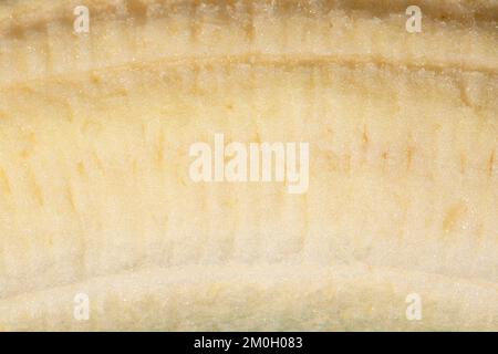 Texture banane comme arrière-plan. Gros plan d'une banane. Photo macro. Banque D'Images