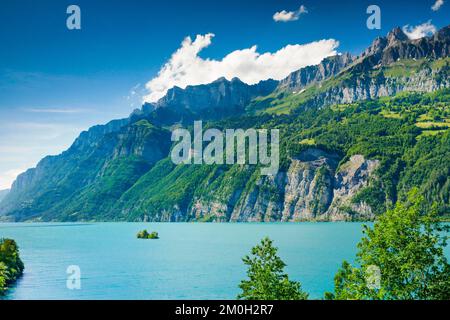 Vue ensoleillée sur le lac Walen avec la petite île de ciboulette dans l'eau turquoise au pied de Churfirsten et les massifs de montagne Schären et Leis Banque D'Images