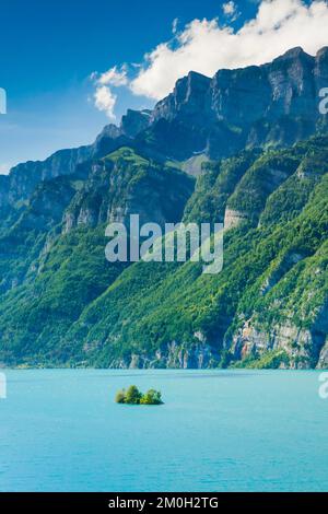 Vue ensoleillée sur le lac Walen avec la petite île de ciboulette dans l'eau turquoise et la chaîne de montagnes Schären et Leistchamm en arrière-plan, Canton St. Banque D'Images