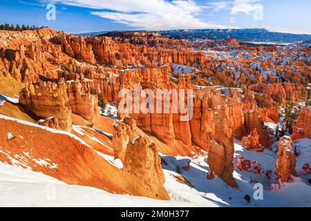 Bryce Canyon en hiver, vue depuis Sunset point, des zoos de calcaire, le parc national de Bryce Canyon, Utah, États-Unis, Amérique du Nord Banque D'Images