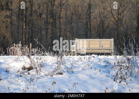 Paysage hivernal de la digue Eagle Run à Brackendale, Squamish, Colombie-Britannique, Canada Banque D'Images