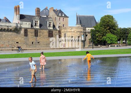 France, Loire Atlantique, Nantes, place Elisa Mercoeur , enfants jouant avec le miroir d'eau conçu par l'architecte Bruno Fortier avec le château des Ducs de Bretagne en arrière-plan Banque D'Images