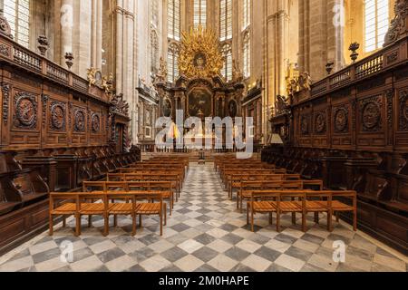 France, Var, Provence verte, Saint Maximin la Sainte Baume, basilique Sainte Marie-Madeleine (entre les 13th et 16th siècles), classée Monument Historique Banque D'Images