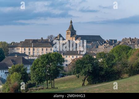 France, Cantal, Montsalvy, étiqueté Petites CITES de caractere, Chattaigneraie cantalienne Banque D'Images