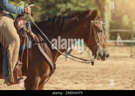 Équitation de cow-boys sur la ferme Banque D'Images