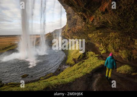 Islande, région de Sudurland, une figure portant une veste bleue et une casquette rose de l'arrière-plan marche dans la cavité sous la chute d'eau de Seljalandsfoss, 60 m de haut, l'une des quelques cascades derrière lesquelles vous pouvez passer Banque D'Images