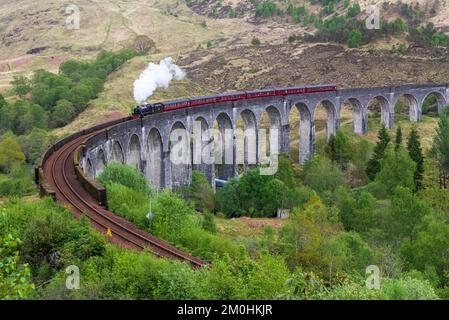 Royaume-Uni, Ecosse, Highlands, Inverness-shire, Glenfinnan, Glenfinnan Viaduct, le train à vapeur Jacobite, mieux connu maintenant sous le nom de Harry Potter train Banque D'Images