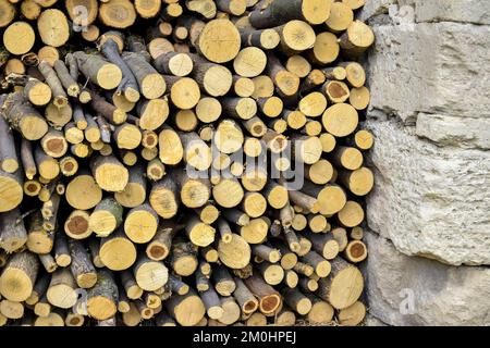 Le bois scié est empilé dans la pile de bois. Mur de vieux rondins en bois aux extrémités fissurées. Magnifique motif d'anneaux annuels sur la coupe de l'arbre. Arrière-plan. Sélection Banque D'Images