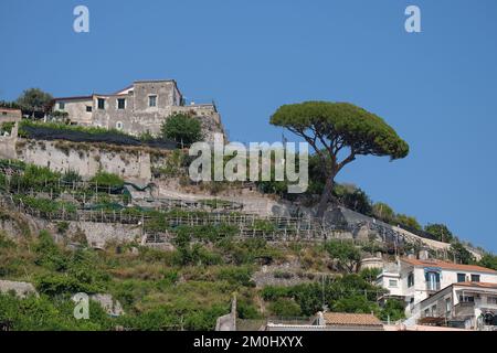 Une vue sur une propriété en bord de falaise avec un jardin escarpé qui pousse des produits (surtout des citrons) au-dessus de la ville d'Amalfi en Italie. Banque D'Images