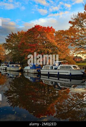 CW 8102 couleurs d'automne près de Crabtree Lane 23.10.2022. Pendant que le soleil descend, il capture les couleurs d'automne le long de la New Lane Moorings sur le Leeds et Banque D'Images