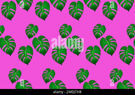 Monstera feuilles sur fond rose, vecteur sans couture Illustration de Vecteur