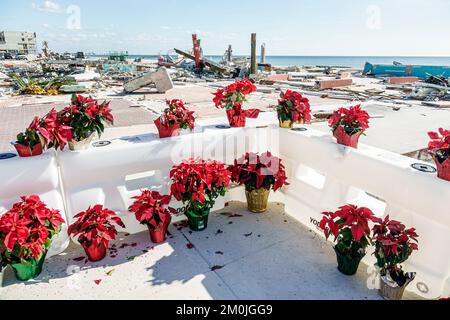 Fort ft. Myers Beach Florida,Estero Island Estero Boulevard,fort Myers Fishing Pier Christmas poinsettias Memorial,entreprises Hurricane Ian d Banque D'Images