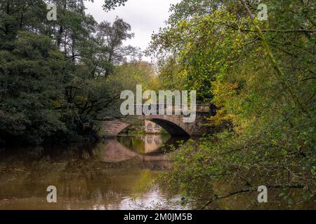 Promenade le long de la rivière Derwent en automne, vue sur le nouveau pont et la navette, Derbyshire, Angleterre Banque D'Images