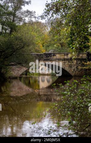 Promenade le long de la rivière Derwent en automne, vue sur le nouveau pont et la navette, Derbyshire, Angleterre Banque D'Images