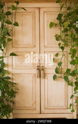 Armoire en bois blanchi cloaset avec des vignes en cascade dans la chambre principale dans le grenier à l'intérieur de la vieille maison de style cottage circa 1840. Banque D'Images