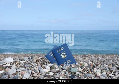 Le nouveau passeport biométrique ukrainien vous permet de voyager dans les pays européens de l'Union européenne sans visa. Document d'identité électronique gratuit Visa. Les Ukrainiens obtiennent de nouveaux passeports d'interntational Banque D'Images