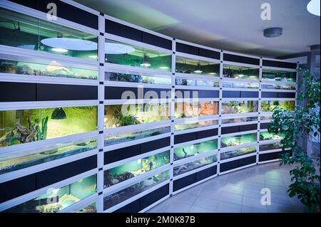 Berlin, Allemagne. 30th novembre 2022. Les deux premières rangées de terrariums du refuge pour animaux de Berlin sont remplies de serpents, de tortues et d'autres reptiles. Coûts élevés, espace limité : le refuge pour animaux de Berlin doit faire tomber certains animaux exotiques en raison de la forte demande. (À dpa abri pour animaux de Berlin: Maison pour animaux exotiques est pleine) Credit: Annette Riedl/dpa/Alay Live News Banque D'Images