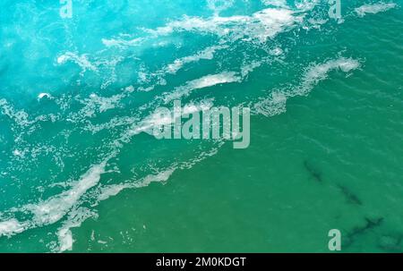 Hadera. 5th décembre 2022. Cette photo aérienne prise le 5 décembre 2022 montre des requins dans la mer Méditerranée près de la ville israélienne du nord de Hadera. Credit: Gil Cohen Magen/Xinhua/Alay Live News Banque D'Images