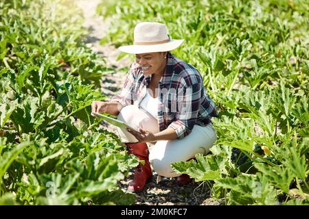 Jeune agriculteur assis dans un jardin. Un agriculteur heureux utilisant une tablette numérique. Usines de contrôle agricole afro-américaines. Agriculteur utilisant un périphérique numérique pour vérifier Banque D'Images