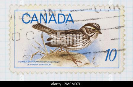 Photo d'un timbre-poste du Canada Ipswich Sparrow Passerculus princeps série oiseaux 1969 Banque D'Images
