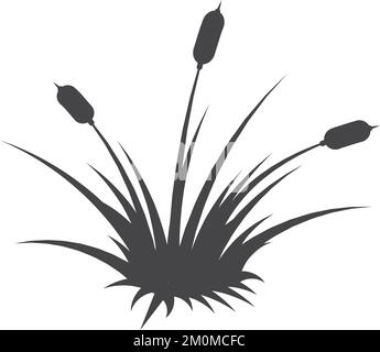 Silhouette de BulRush. Icône de plante naturelle de la zone humide noire Illustration de Vecteur